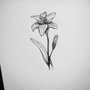 Meet your Posher, Tomas